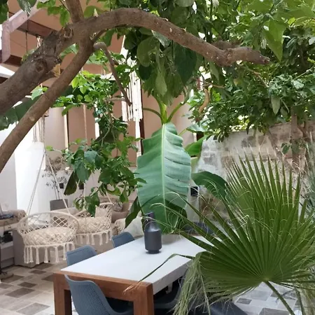 Casa Magnolia * פאטרה