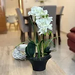 Holiday home Casa Magnolia Patras