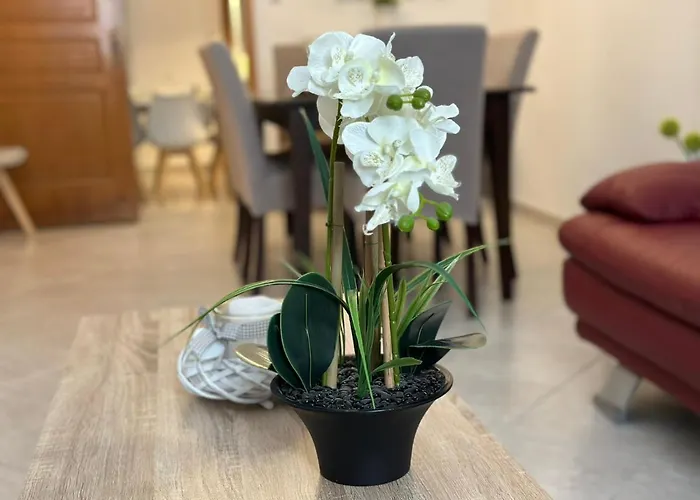 Дом отдыха Casa Magnolia Патра